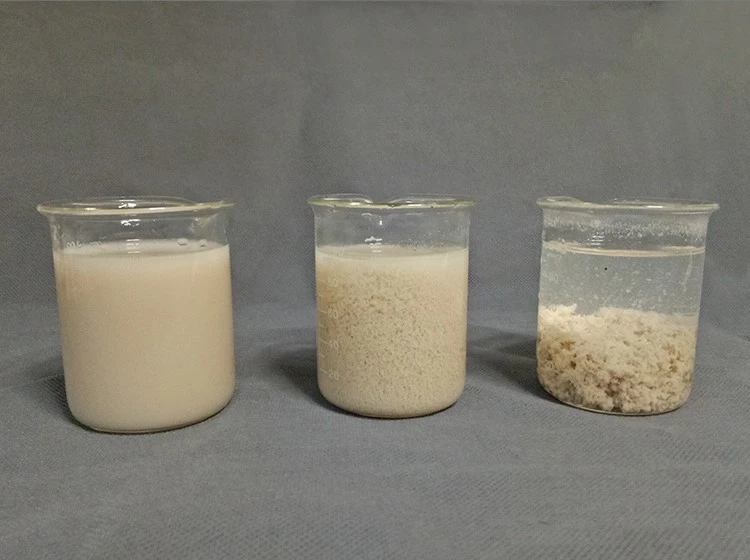 Cationic Partially Hydrolyzed Polyacrylamide (3) Cationic Partially Hydrolyzed Polyacrylamide (3)